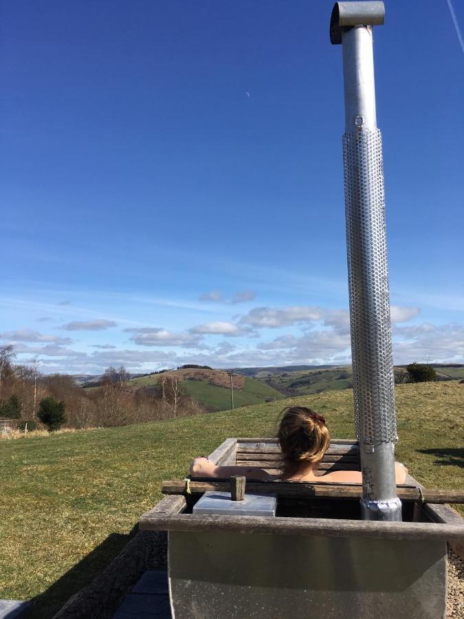 Belan Bluebell Woods Shepherds Hut ชานีดลอยส์ ภายนอก รูปภาพ