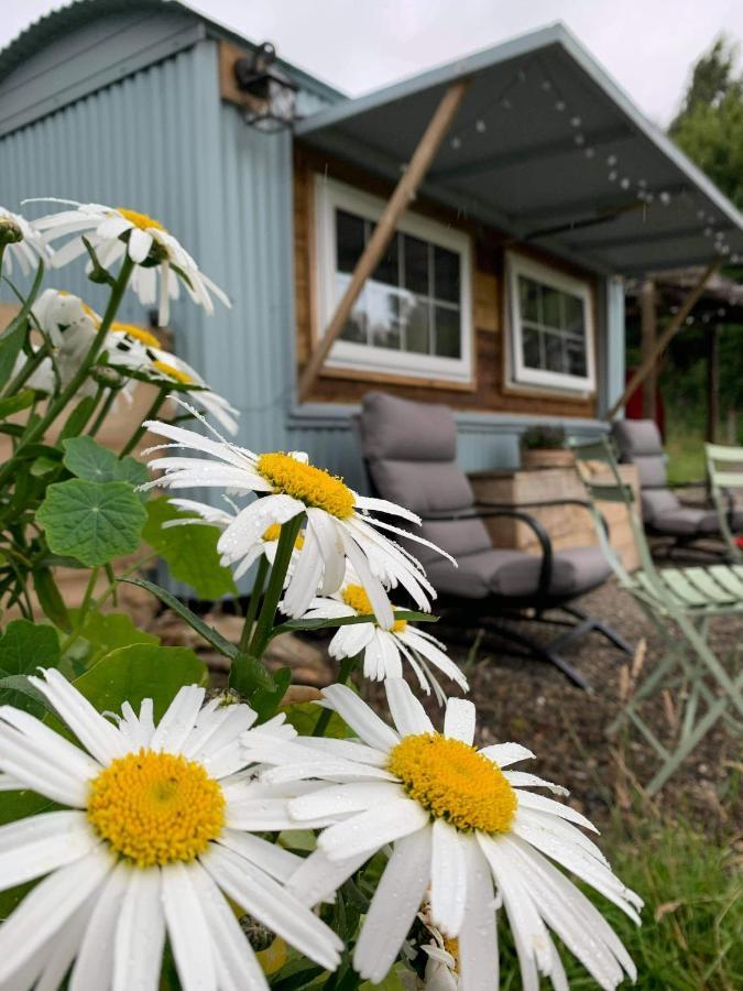 Belan Bluebell Woods Shepherds Hut ชานีดลอยส์ ภายนอก รูปภาพ